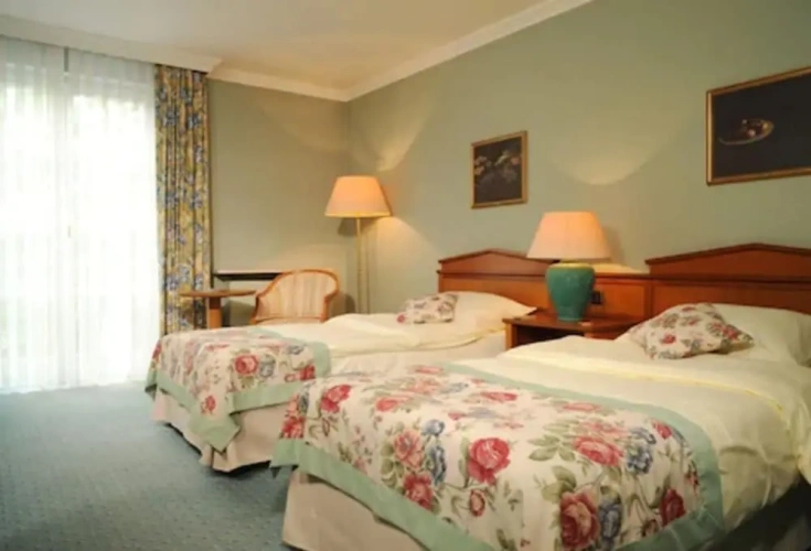Comfort Single room