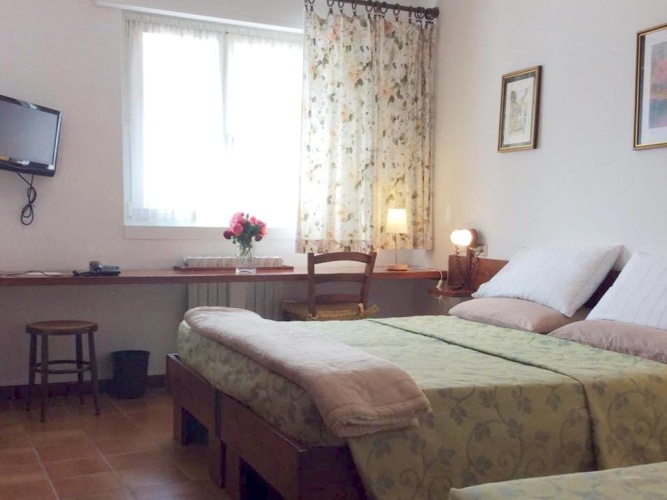 Standard Double room with mountain view