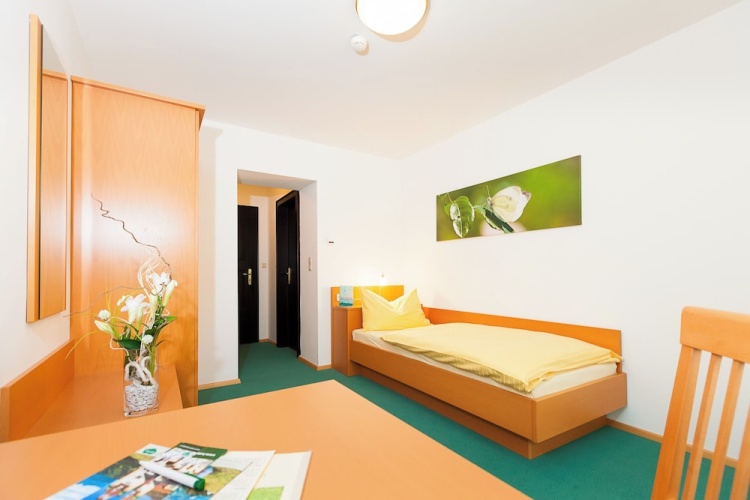 Standard Single room with mountain view