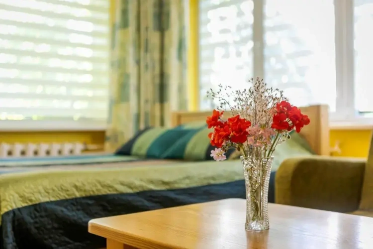 Standard Double room with balcony