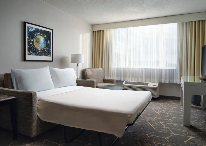 1 Bedroom Suite