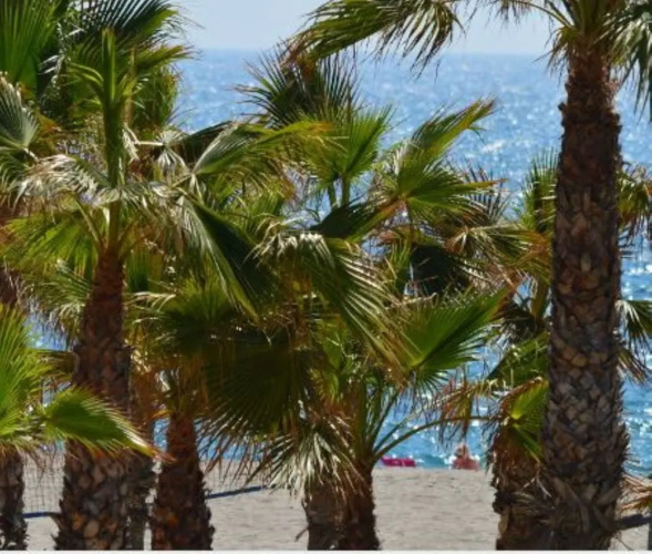 106203 - Apartment in Vera Playa