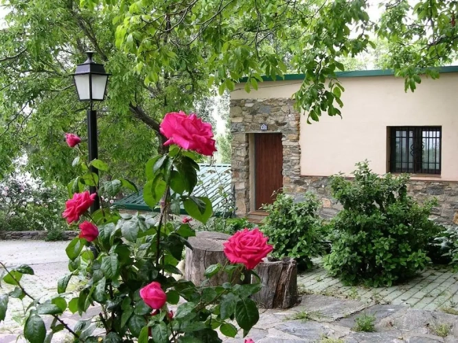 1 Bedroom Cottage with mountain view