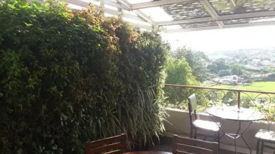 Savanna Cafe