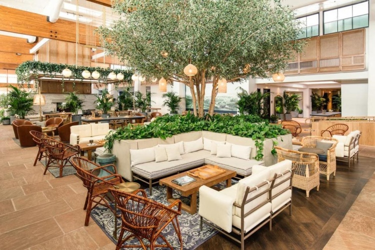 The Scott Resort & Spa photo 16