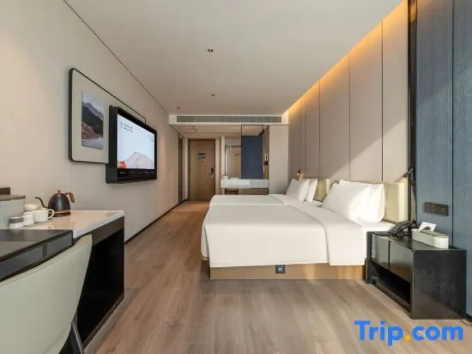 Executive Twin room