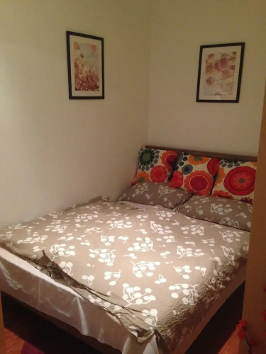 Pauler19 Apartement
