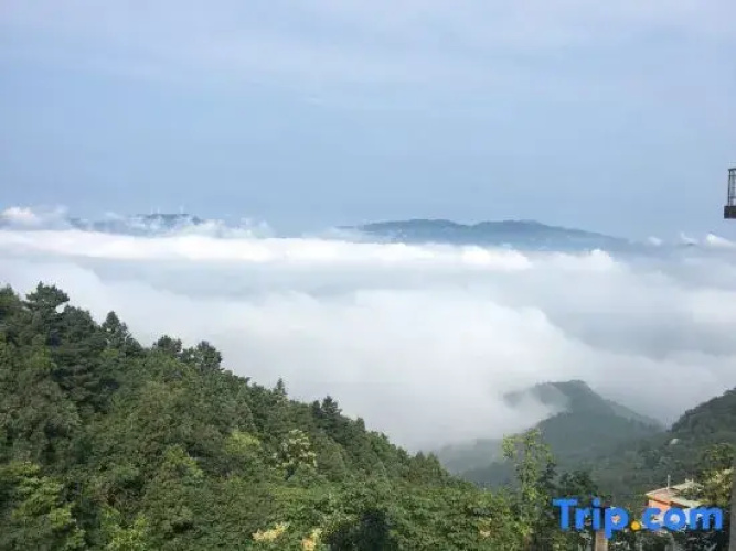 Xin Hua Hotel