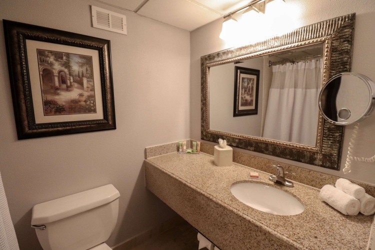 Wyndham Houston near NRG Park/Medical Center photo 9