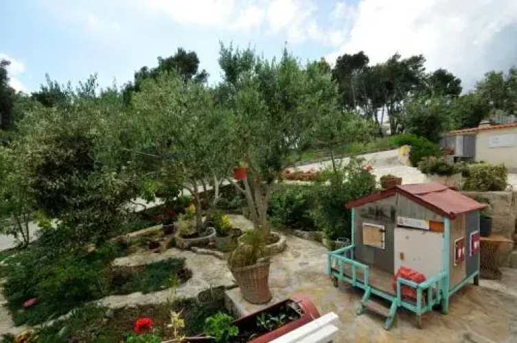 Apartments Sandra