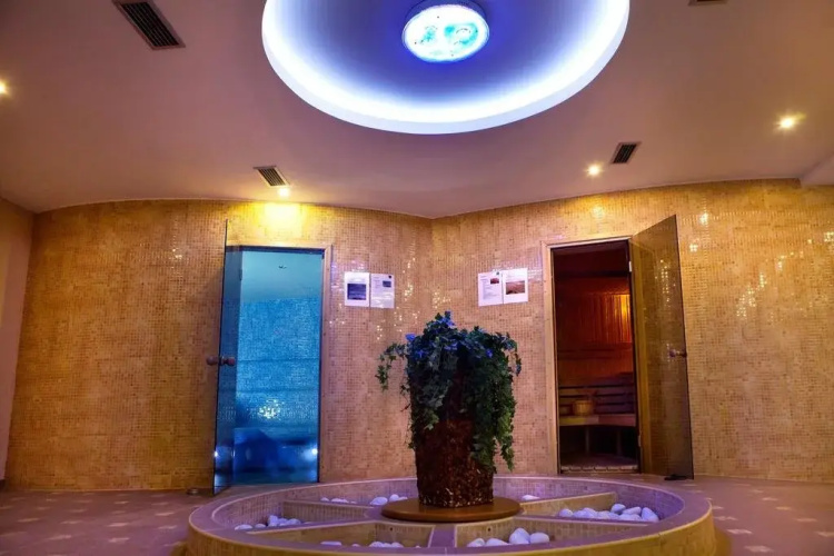 Hotel Altis