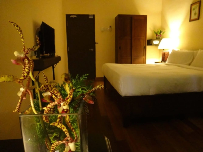 Guest rooms