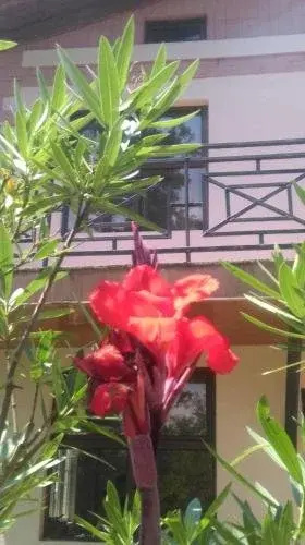 Ureki Resort