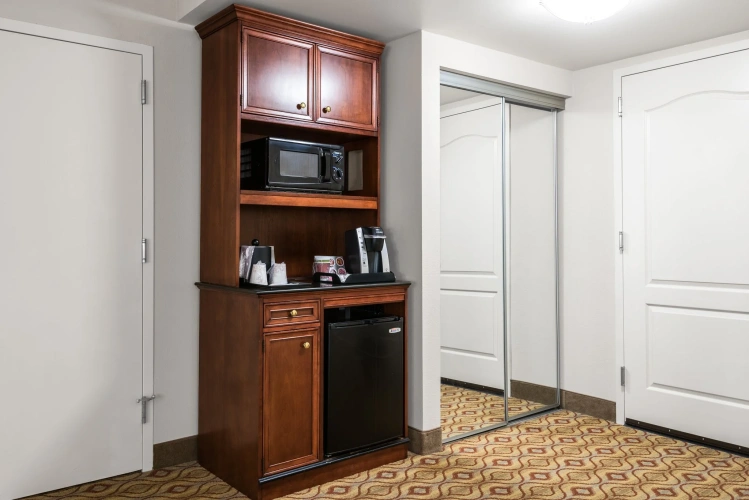 1 Bedroom Suite