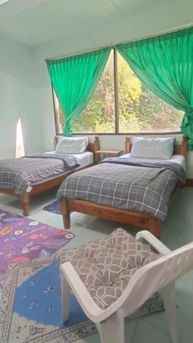 Comfort Twin room with land view
