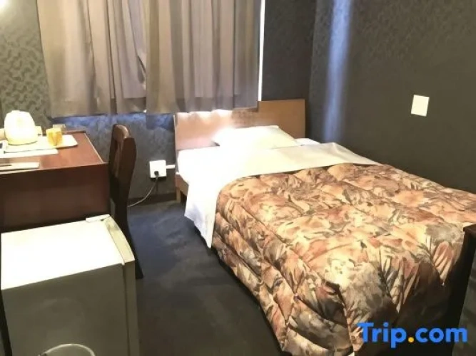 Standard Single room with city view