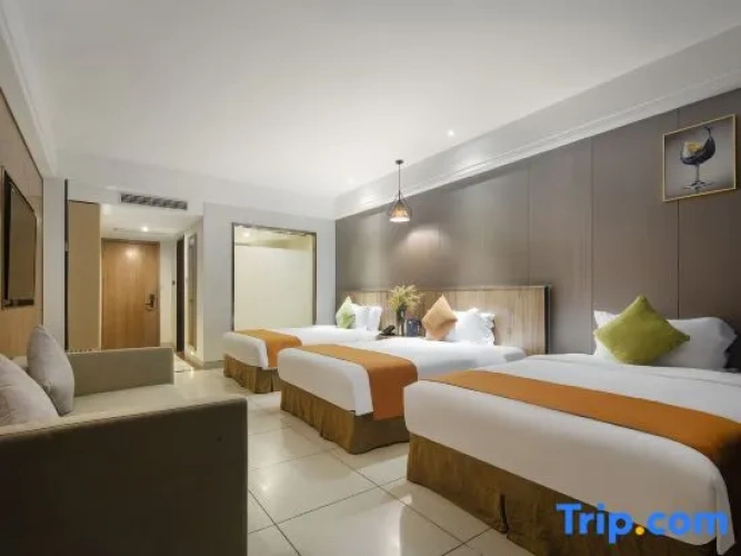 Deluxe Double room with balcony and with city view