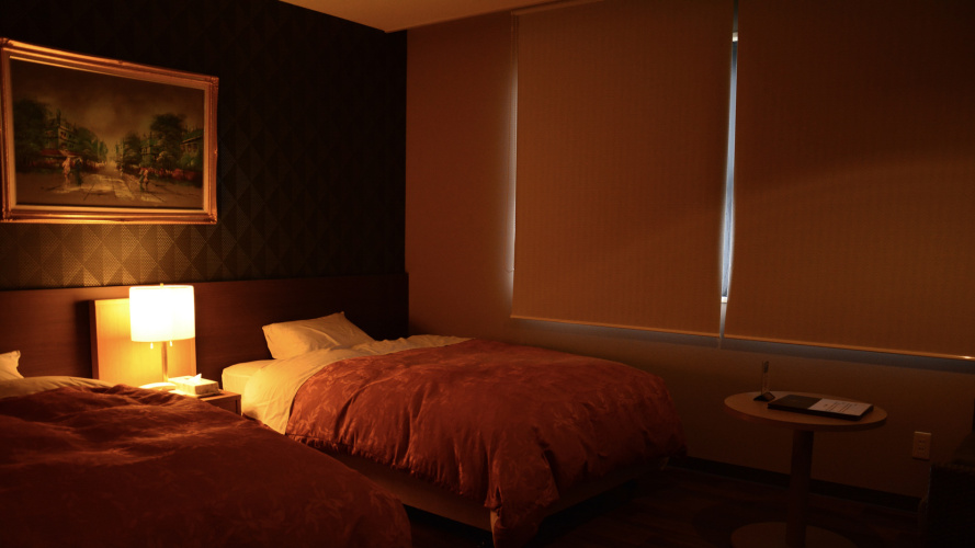 Standard Twin room with lake view