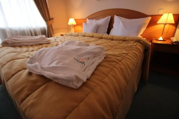 Standard Double room with balcony and with lake view