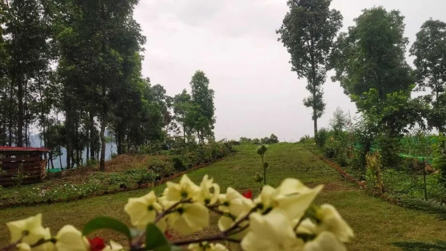 Standard Quadruple room with balcony and with garden view