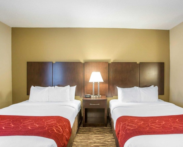 Quadruple Suite