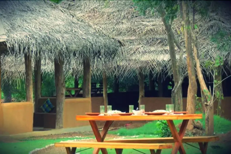 Green Ayurvedic Resort