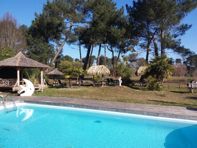 Standard Double room with garden view