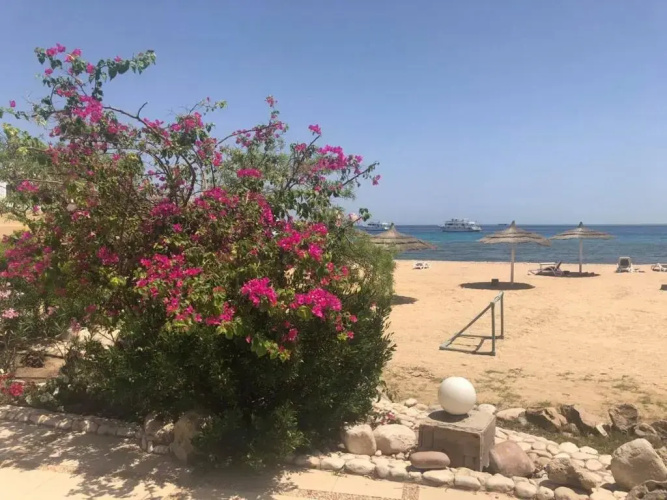 Apartment in Hurghada 174