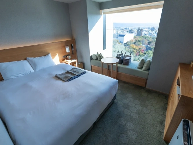 Superior Double room with city view