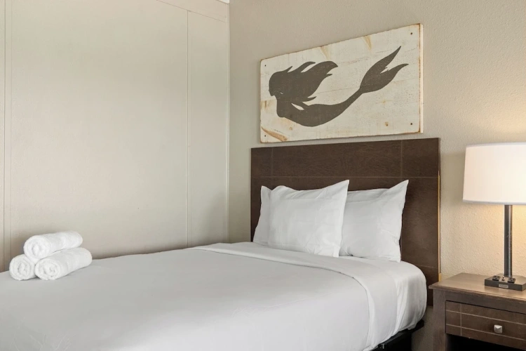 1 Bedroom Sextuple Basement Suite beachfront