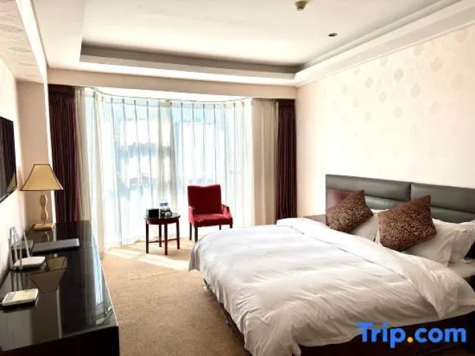 Standard Double room with city view