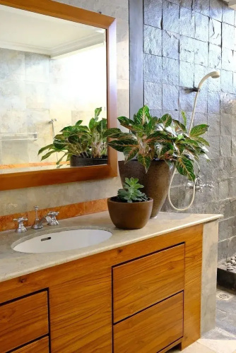 Pasteur Beautiful Luxurious House