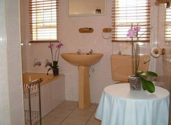 Standard Twin room with view