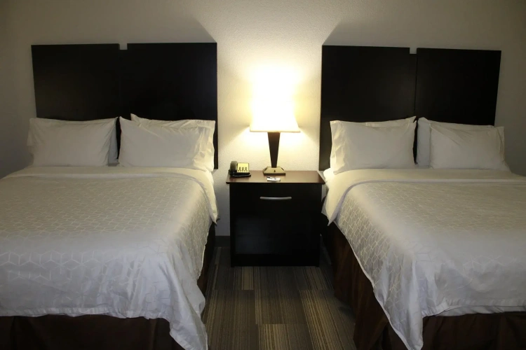 Quadruple Suite