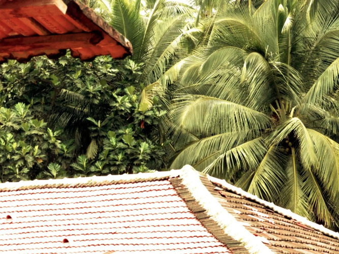 The Old Quarter Hostel