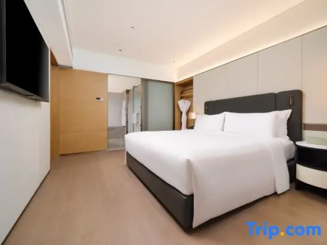 Deluxe Suite with city view