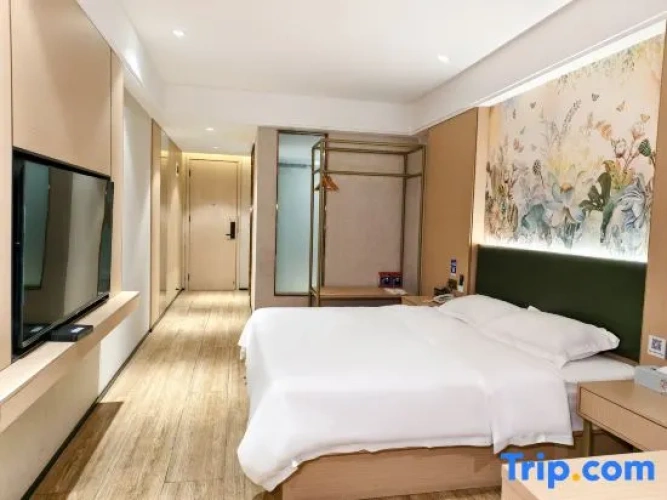 Premier Single room
