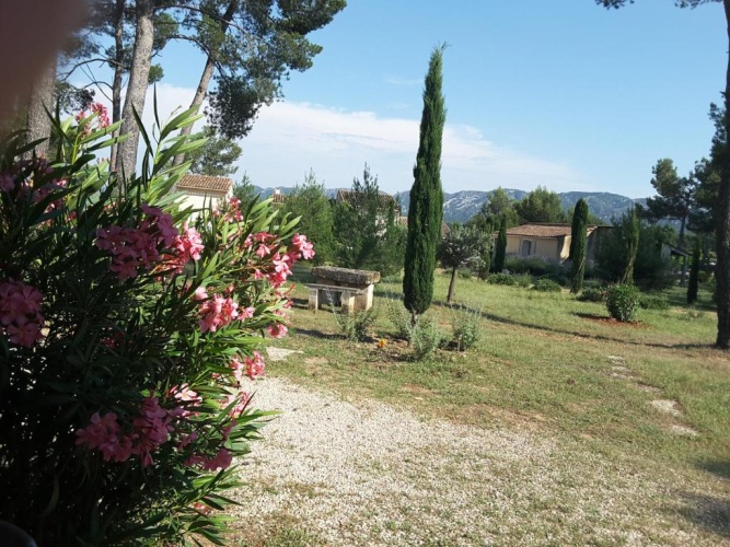 Standard Double room with garden view