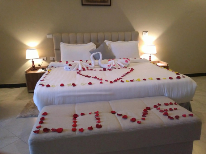 Daisy Hotel