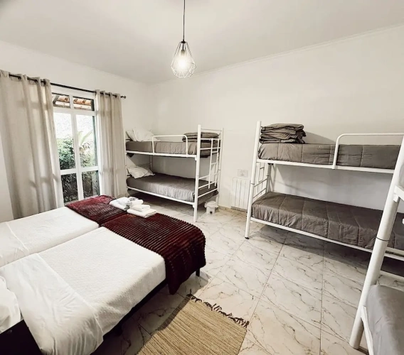 Economy Suite