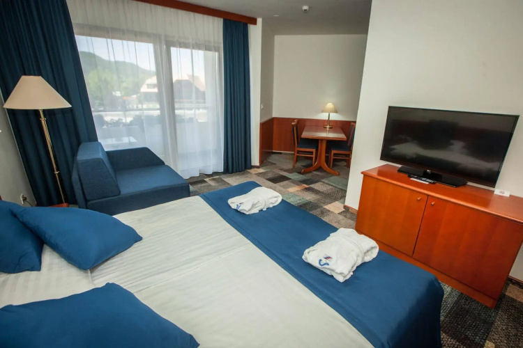 Hotel Toplice