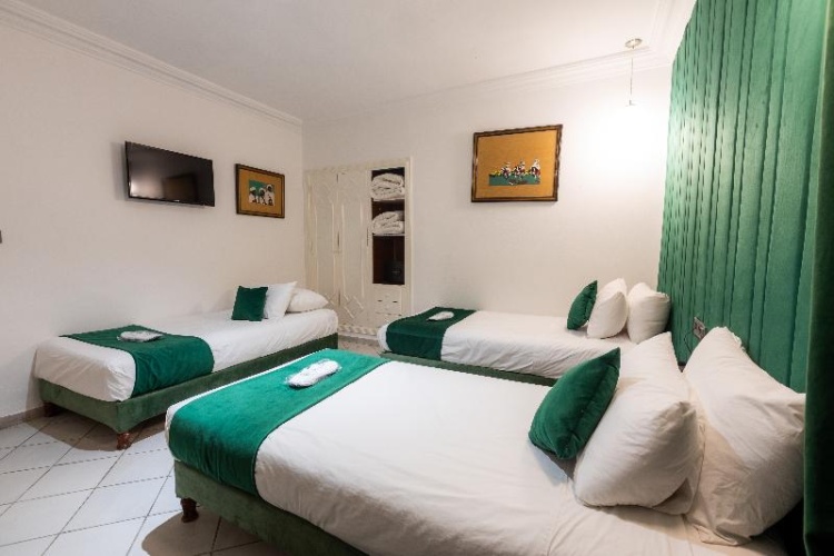 Standard Double room with balcony and with view