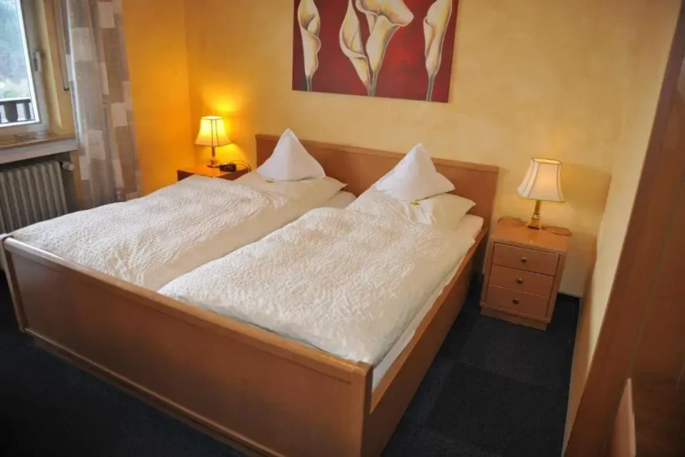 Standard Double room with balcony and with view