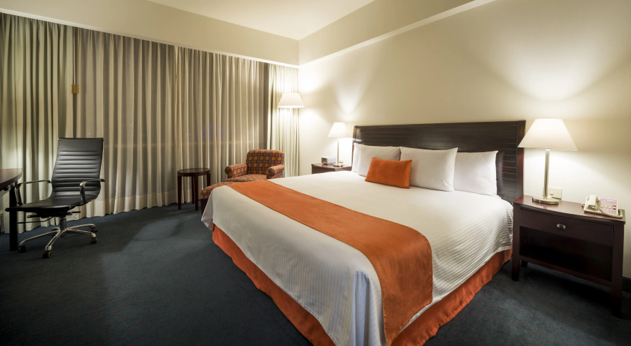 Camino Real PachucaOver view