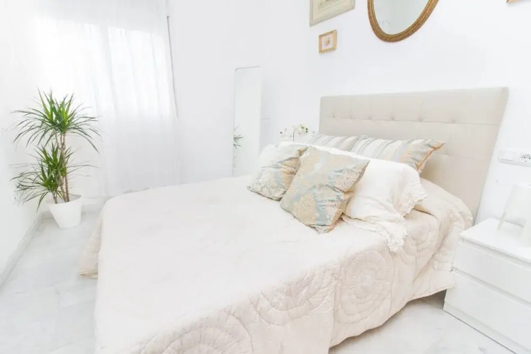 Cool 1 Bedroom Apartment Capuchinos