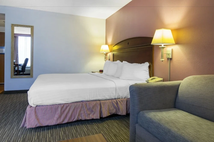 Single Suite