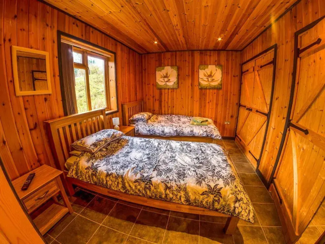 New Forest Lodges