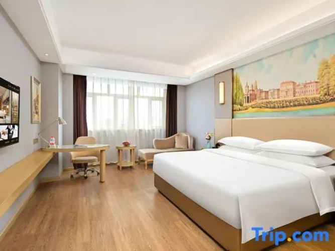 Standard Double room with city view