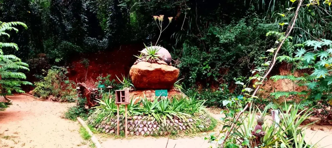 Ella Nature Park