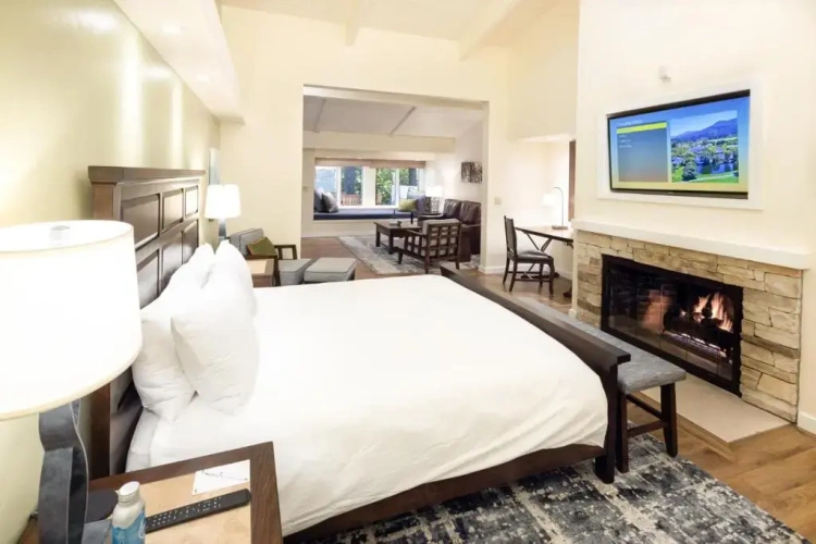 Premier Double Suite